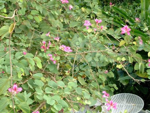 DSCF0688