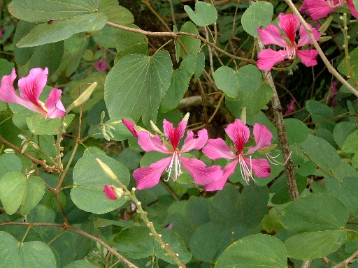 DSCF0689