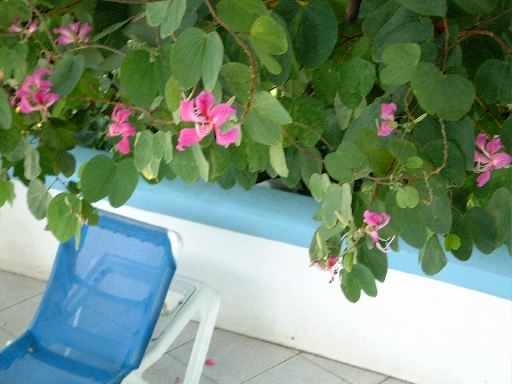 DSCF0694