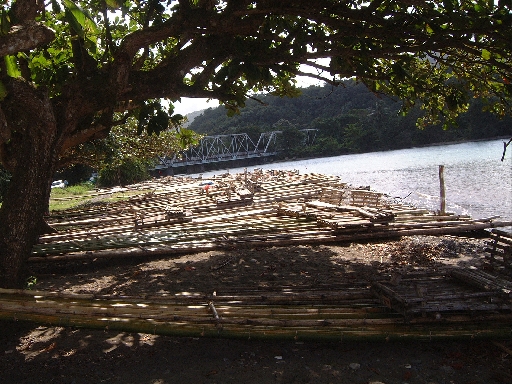 DSCF0707