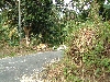 DSCF0649