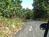 DSCF0650