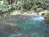 DSCF0653