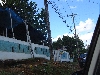 DSCF0667