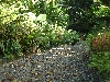 DSCF0671