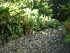 DSCF0672