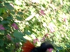 DSCF0695