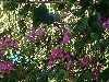 DSCF0696