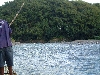 DSCF0702