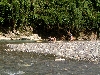DSCF0704