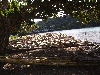 DSCF0707