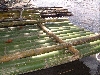 DSCF0710
