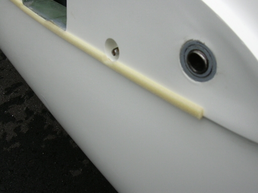 wing