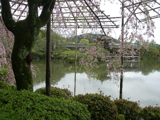 DSCN3723