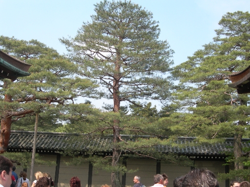DSCN3764