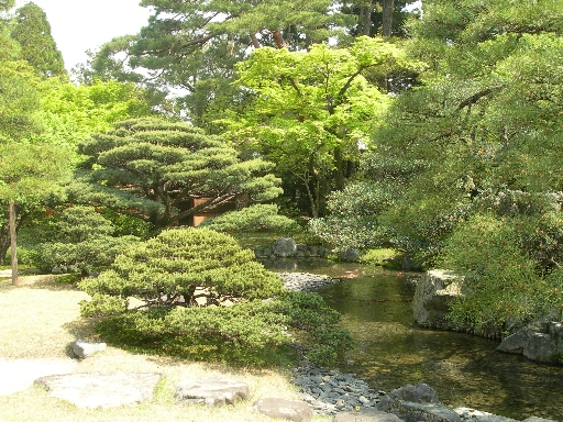 DSCN3784