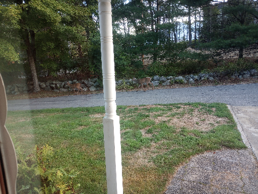 IMG_20250922_072214038_MP