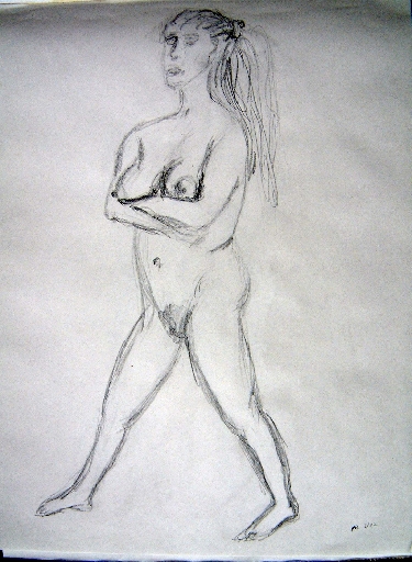 DSCF1513
