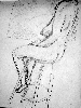 DSCF1517