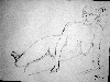 DSCF1518