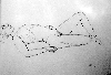 Dscf1531