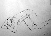 Dscf1535