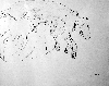 Dscf1541