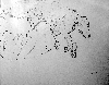 Dscf1542
