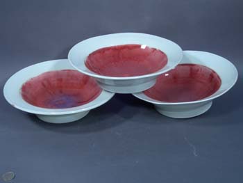 DSCN1305
