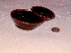 DSCF0544