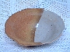 DSCF1005