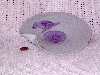 DSCF0727