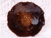 DSCF0771
