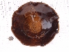 DSCF0773