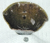 DSCN0006