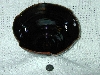 DSCN0021