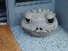 DSCN0133