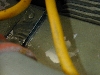 DSCN0199