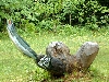 Dscf1129