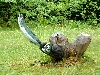 Dscf1130
