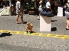 Dscf1168