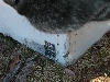 DSCN1424