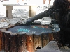 DSCN0082