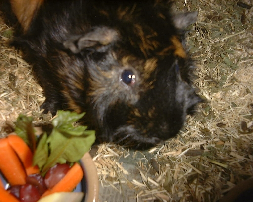 DSC00993