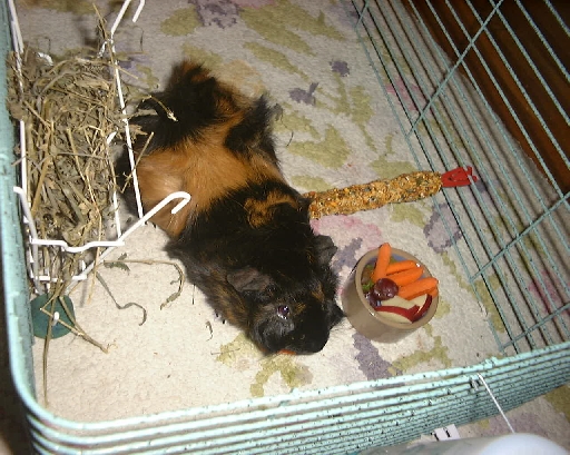 DSC01011