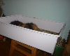 DSC01006