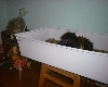 DSC01007