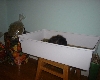 DSC01010