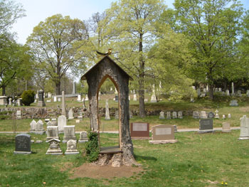 DSCF0429