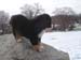 Dscf0262